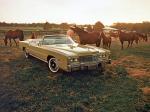 Cadillac Fleetwood Eldorado Convertible 1976 года